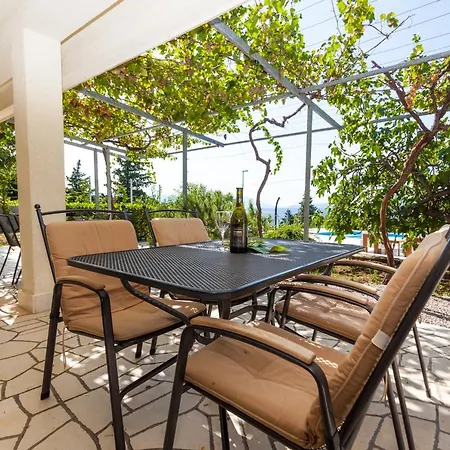 Angel Dalia * 诺维·维诺多尔斯基