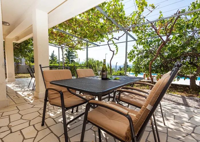 Angel Dalia * 诺维·维诺多尔斯基